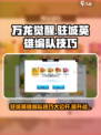 万龙觉醒改驻城英雄如何操作介绍