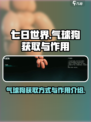 七日世界气球狗怎么获取介绍
