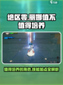 绝区零：丽娜培养全解密，技能加点一键通✨