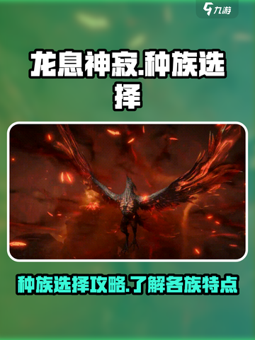龙息神寂主角选哪个种族介绍截图1