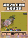 英勇之地🔥狂猪族长打法攻略分享💥