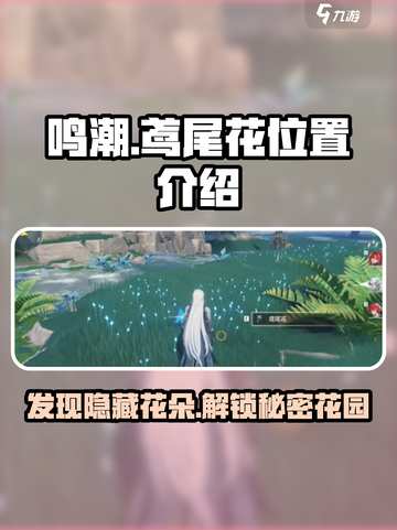 鸣潮鸢尾花具体位置在哪里介绍截图1