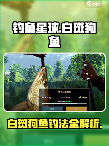 🎮钓鱼星球爆肝攻略！白斑狗鱼轻松钓获秘籍截图1