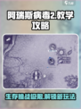 阿瑞斯病毒2🔥玩法教学，生存攻略一网打尽！
