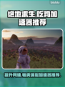 吃鸡加速器哪个好？ PUBG流畅玩🔥