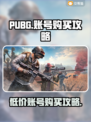 PUBG账号哪里买便宜？🔥低价入手秘籍来了！🎮