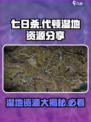 七日世界代顿湿地资源有哪些介绍