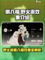 野火流明八福怎么样介绍