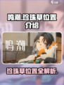 鸣潮珍珠草位置在哪里介绍
