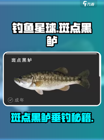 🎮《钓鱼星球》斑点黑鲈爆护技巧！截图1