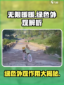 无限暖暖绿色外观有什么用介绍