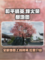 和平精英烽火荣都什么时候上线介绍