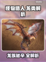 🔥《怪物猎人》龙类全解析🐉