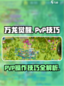 万龙觉醒pvp怎么玩介绍