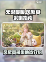 无限暖暖风絮草在哪采集介绍