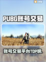 🔥PUBG账号交易TOP平台大揭秘！🎮