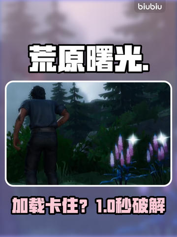 《荒原曙光》加载卡死？一招秒解🔥截图1