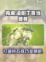 鸣潮🔥凌阳丁零当啷兽任务打破碎石超全攻略🎉