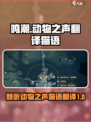 鸣潮⚡倾听动物之声猫语翻译玩法大揭秘！🎮🐾