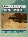 大江湖之苍龙与白鸟佛门秘籍获得方式介绍