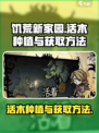 饥荒新家园活木种植方法介绍