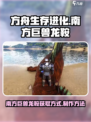 方舟生存进化手游南方巨兽龙鞍怎么获得介绍
