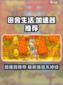 田舍生活🔥必备加速器推荐，玩游戏畅快无比！🎮