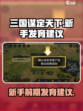 三国谋定天下前期攻略介绍