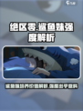 绝区零✨鲨鱼妹强度解析，不培养后悔终生！