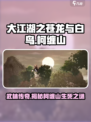 大江湖之苍龙与白鸟柯缠山是谁介绍