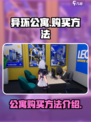 异环公寓怎么购买介绍