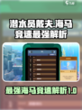 潜水员戴夫海马竞速最强海马是哪个介绍