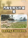 方舟生存飞升🔥好玩到停不下来！游戏代