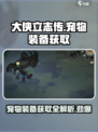 大侠立志传宠物装备怎么获得介绍