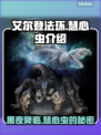 艾尔登法环黑夜君临！慧心虫🔥秘密全解析💎