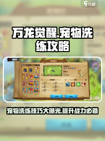 万龙觉醒宠物洗练攻略介绍截图1