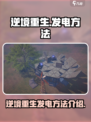 逆境重生怎么发电介绍