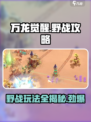 万龙觉醒野战怎么打介绍