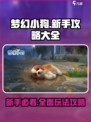 梦幻小狗🔥新手必看！玩法攻略全揭秘✨