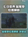 七日世界手游鼠尾草位置在哪介绍