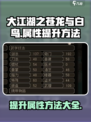 大江湖之苍龙与白鸟🔥属性飙升秘籍🎉