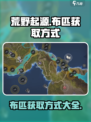 荒野起源💎布匹快速获取方式大公开！