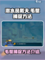 潜水员戴夫🔥毛蟹捕捉技巧大公开！🎉