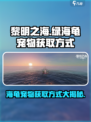 黎明之海🔥绿海龟宠物获取方式大揭秘！快来看✔