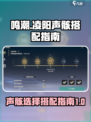 鸣潮⚡凌阳声骸最强搭配🔥游戏大佬都在用！