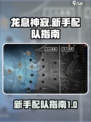 龙息神寂新手必看🔥超强配队秘籍🎉