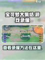 宝可梦大集结回放在哪里介绍
