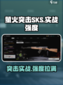 萤火突击SKS怎么样介绍