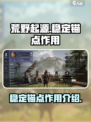 荒野起源稳定的锚点有什么用介绍
