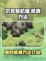 挨饿荒野鹿如何抓捕介绍